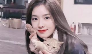 想你的夜王思聪